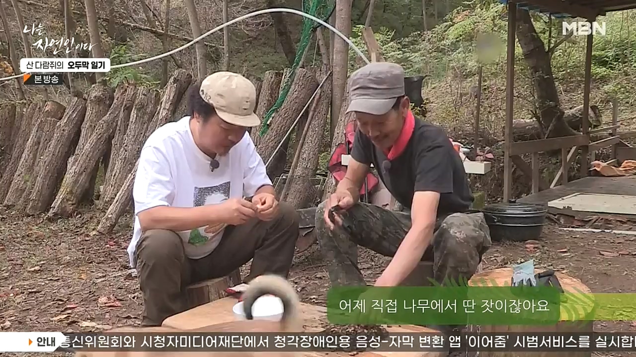 나는 자연인이다.E525.221027p-NEXT.mp4_20221027_192758.343.jpg