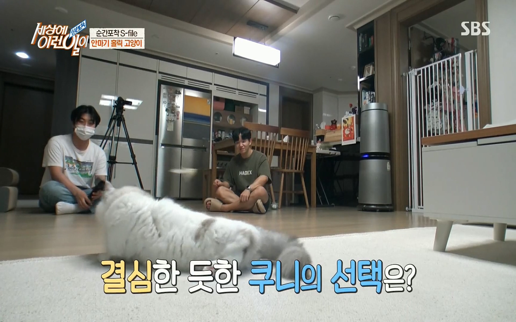 순간포착 세상에 이런일이.E1186.220628p.H264-F1RST.mp4_20220629_201019.183.jpg