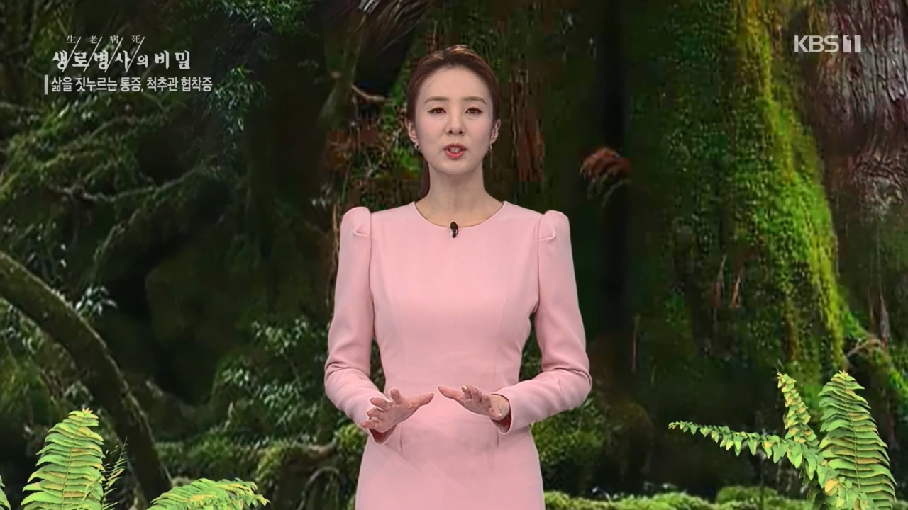 생로병사의 비밀.E866.230427p.H264-F1RST.mp4_20230427_202708.017.jpg