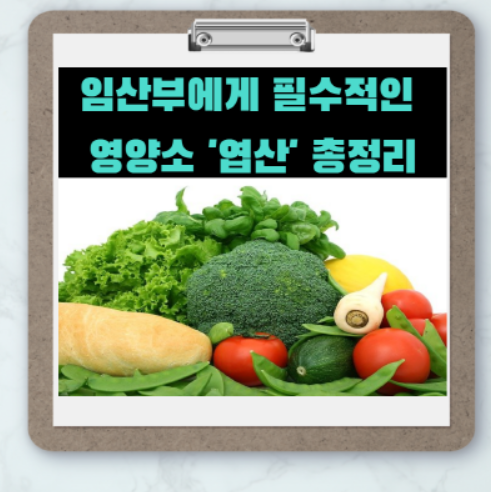  임산부의 필수적 영양소 '엽산' 3분 효과 및 주의사항