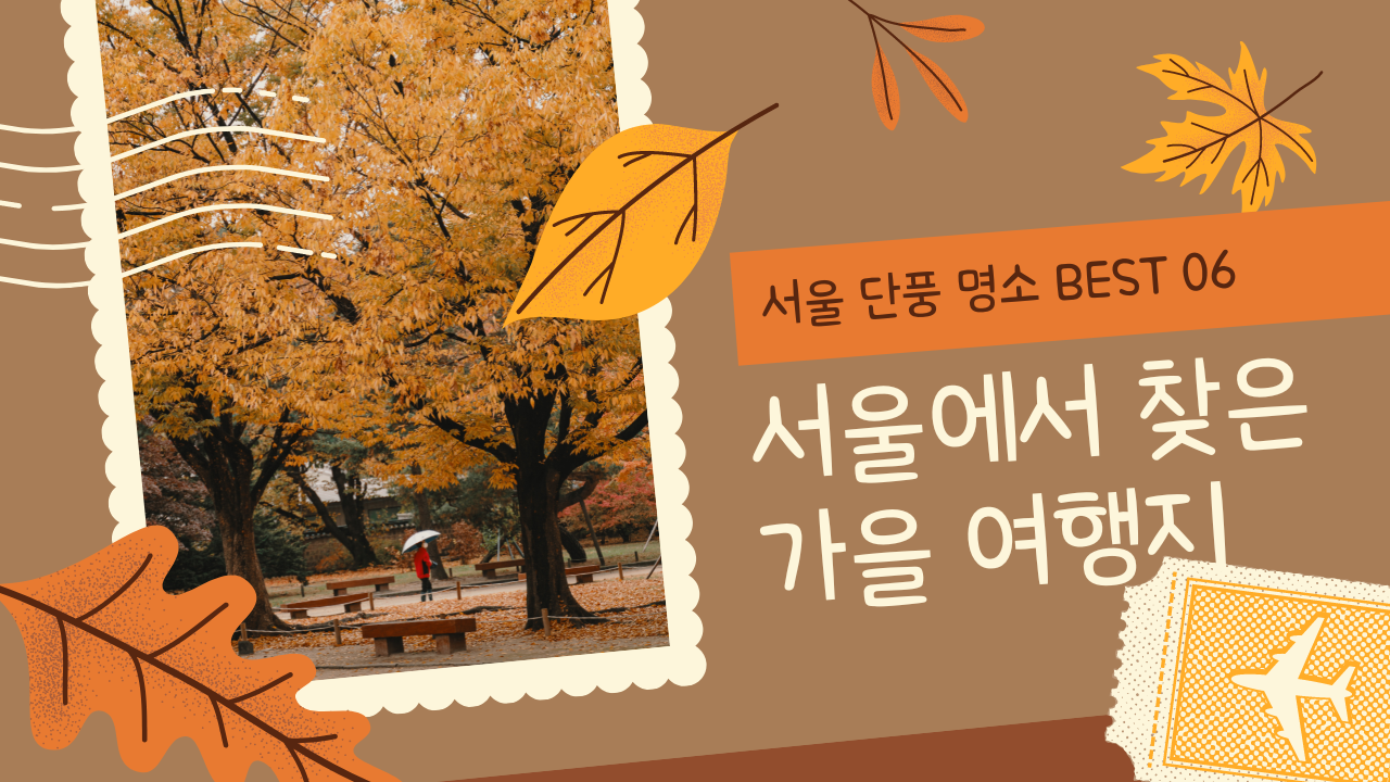 서울 단풍 명소 BEST 06 국내 가을 여행 추천 하늘공원 억새길 포함