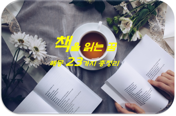  책꿈 해몽 23가지 총정리