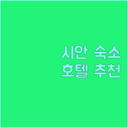 시안 여행 숙소 추천! 내돈내산 호텔