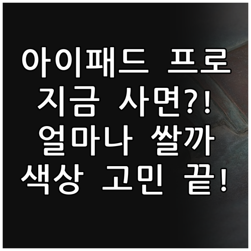 아이패드 프로 12.9인치, 지금 사