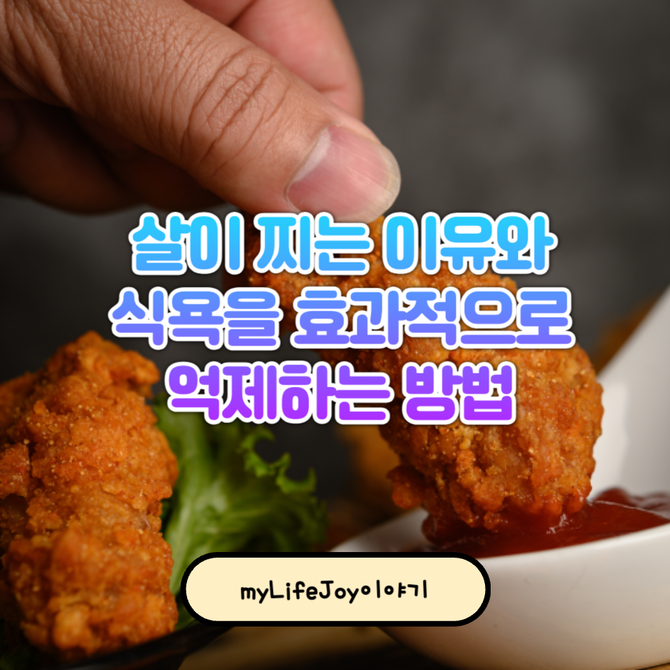 살이 찌는 이유와 식욕을 효과적으로 억제하는 방법