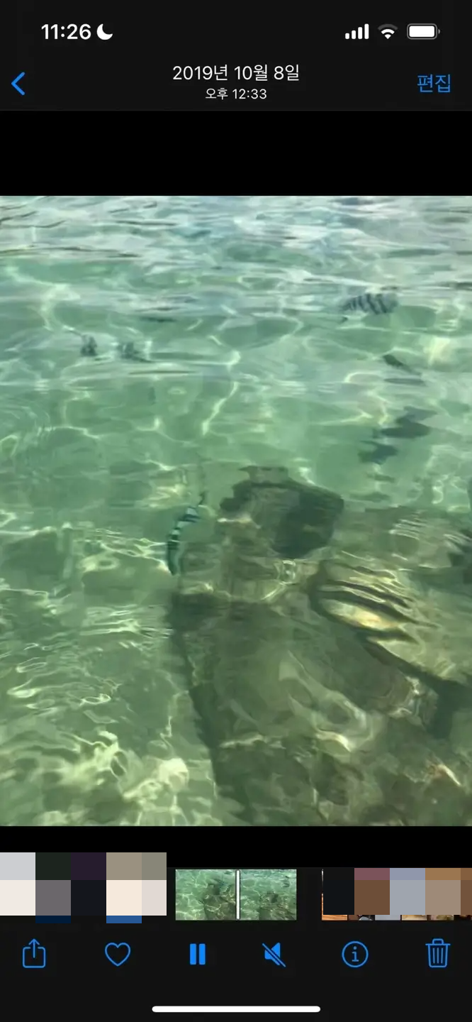 라이브포토-GIF변환