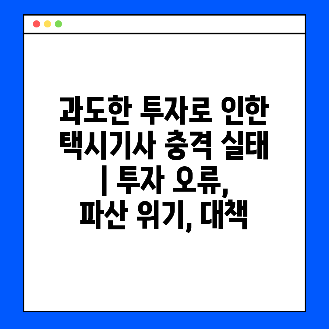 과도한 투자로 인한 택시기사 충격 실태  투자 오류, 