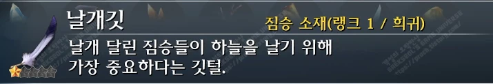 날개깃 설명