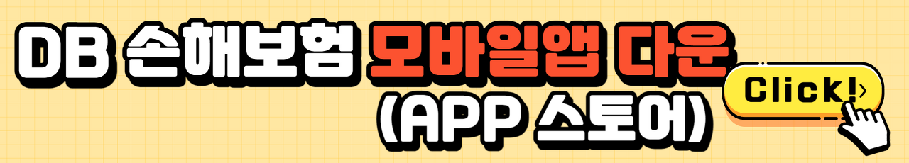 DB손해보험 실비청구