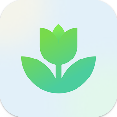 식물 식별(Plant App) 어플&#44; AI 식물 식별 하기&#44; 사진으로 식물 이름 찾기