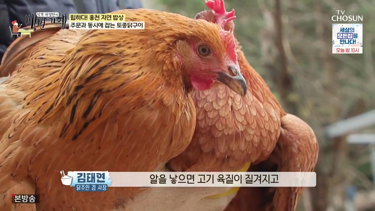 식객 허영만의 백반기행.E226.231209p-NEXT.mp4_20231209_162617.655.jpg