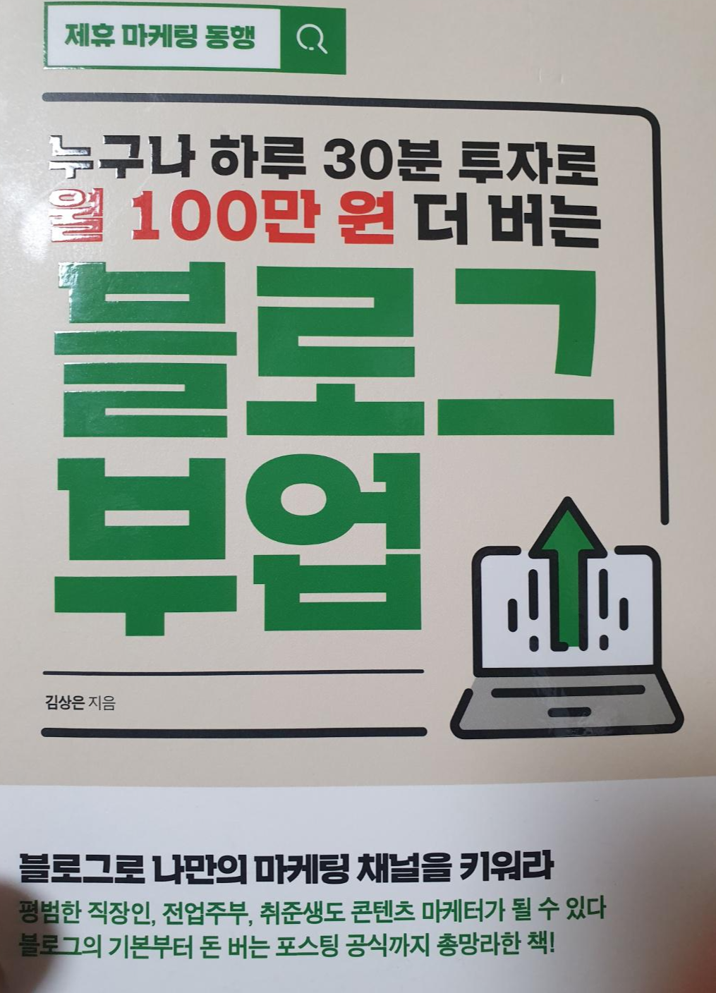  #8 리뷰요정리남처럼 네이버 블로그 수익으로 직장인 부수입 만들 수 있을까? 하루 30분으로 월 100만 원 더 버는 블로그 부업
