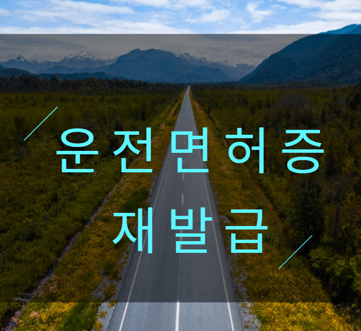  운전면허증 재발급 (준비물, 사진)