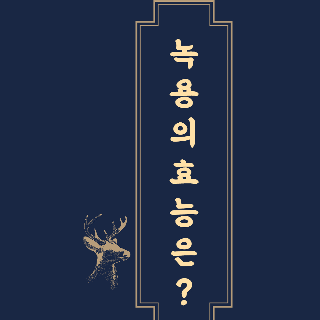  녹용의 효능 5가지 및 부작용은?