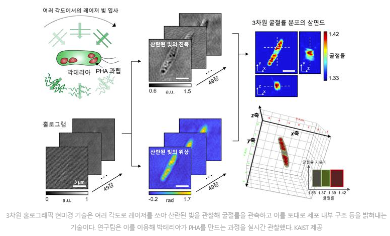 박테리아 연구