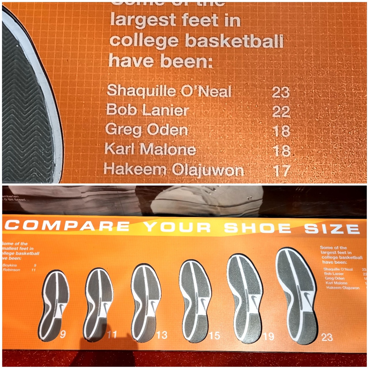 comparison with basketball players&#39;s feet