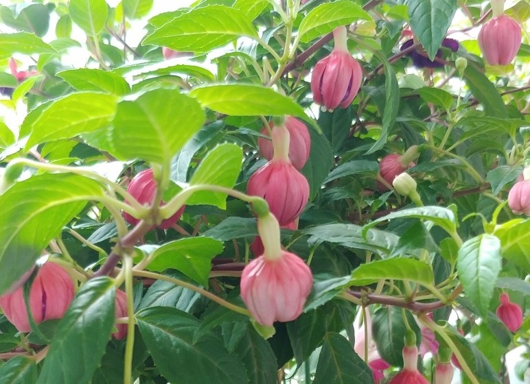  용서,가장 큰 사람,(마18:1~35)