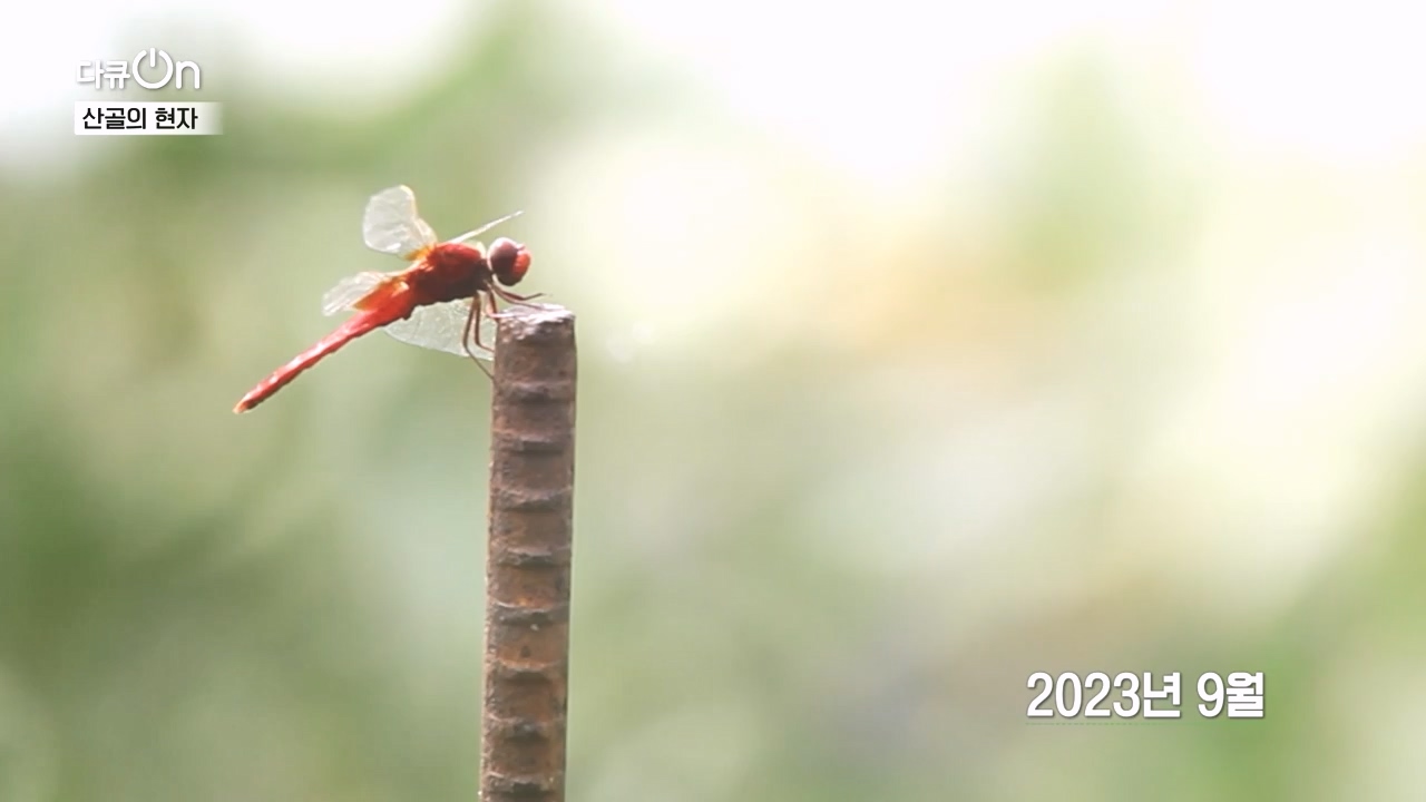 다큐 온.E245.240414p-NEXT.mp4_20240414_142440.675.jpg