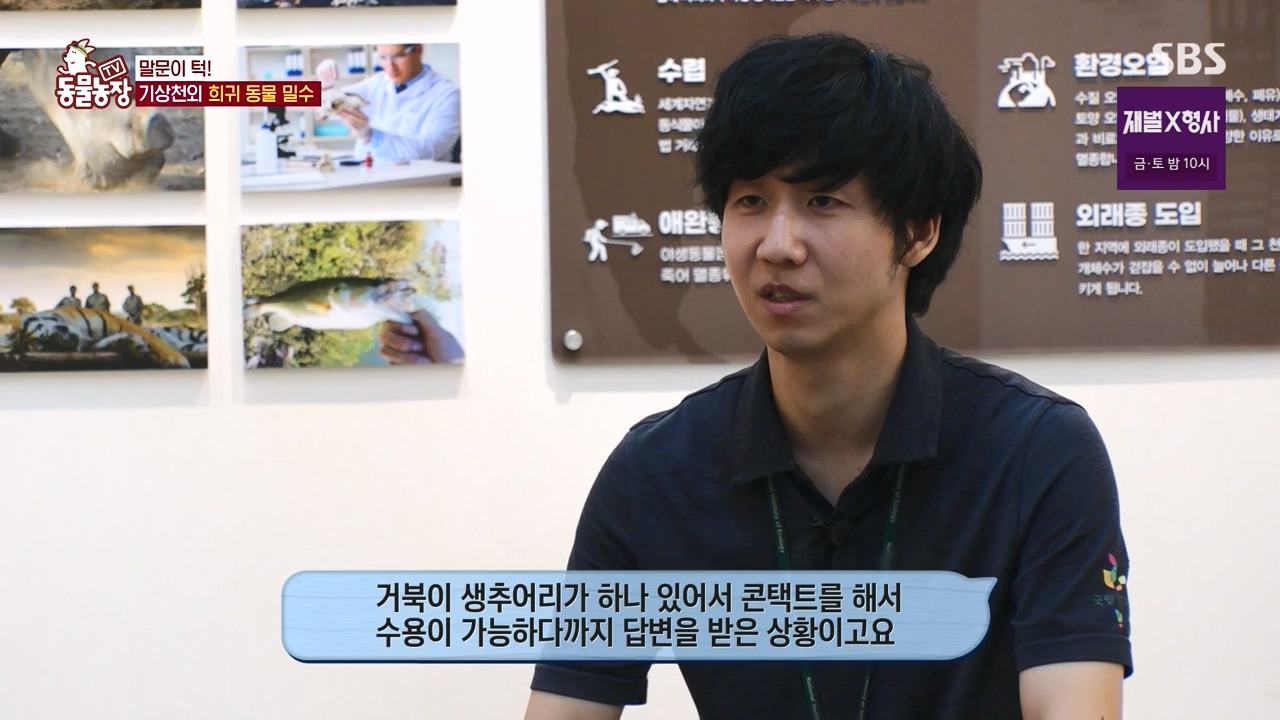TV 동물농장.E1156.240129p-NEXT.mp4_20240128_191740.605.jpg