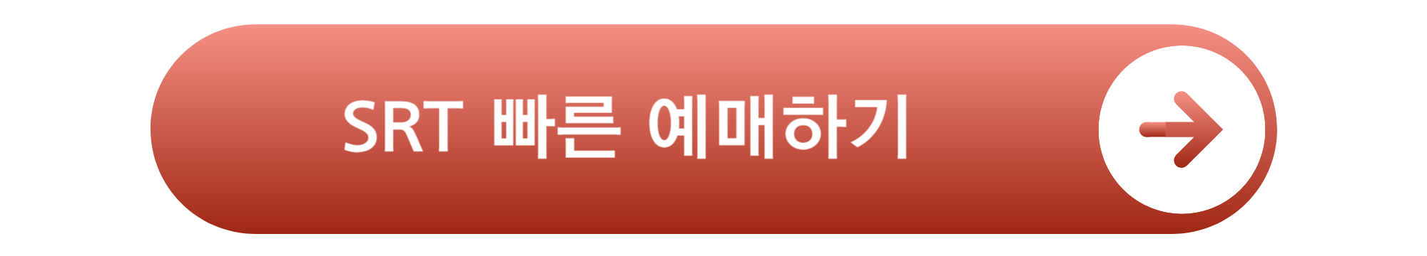 SRT 설 기차표 예매