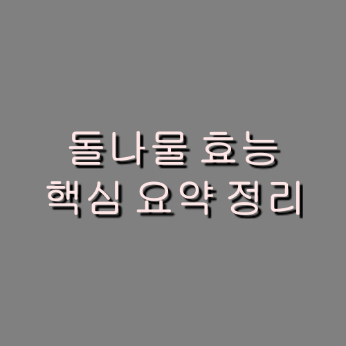  돌나물 효능 정확하게 어디에 좋은걸까