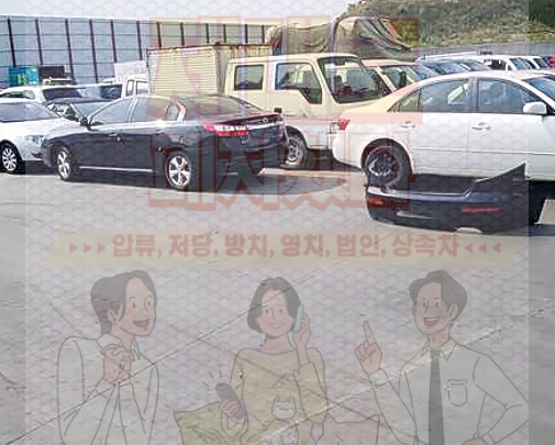 청산에 사진 2