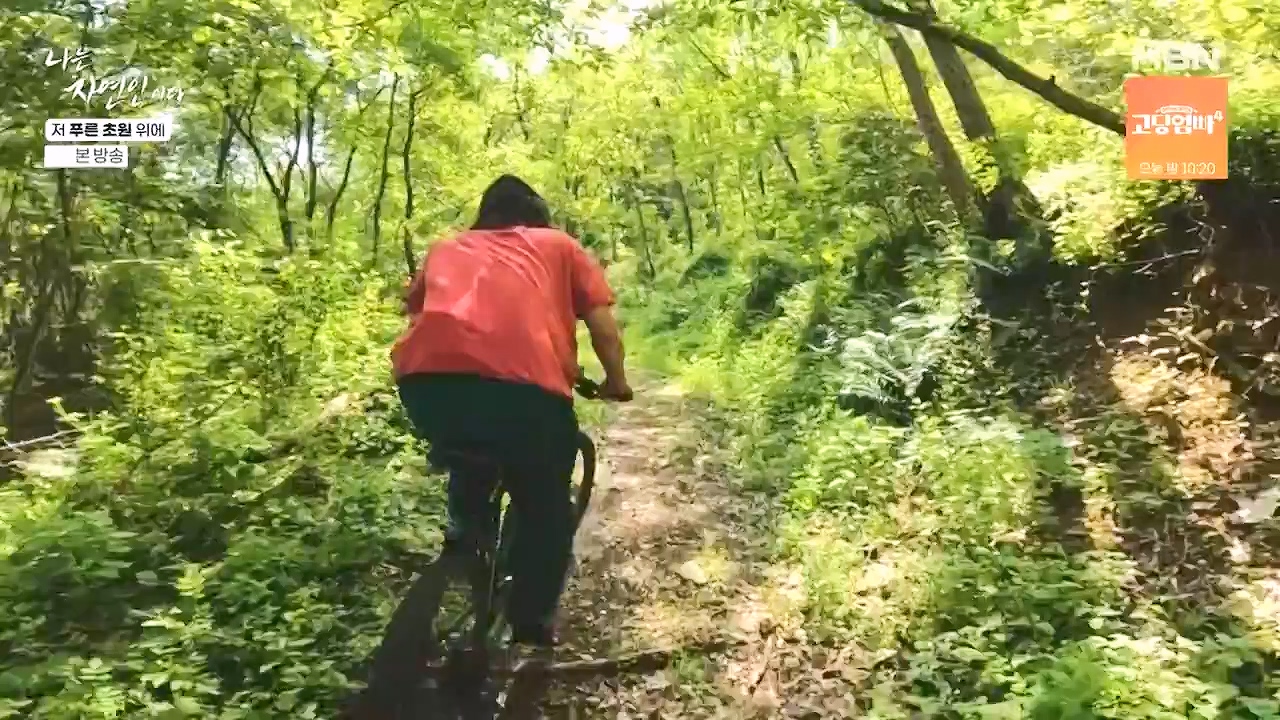 나는 자연인이다.E607.240530p-NEXT.mp4_20240530_200514.473.jpg