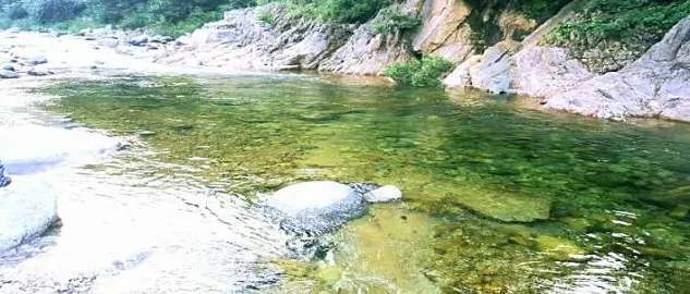 오색솔밭야영장