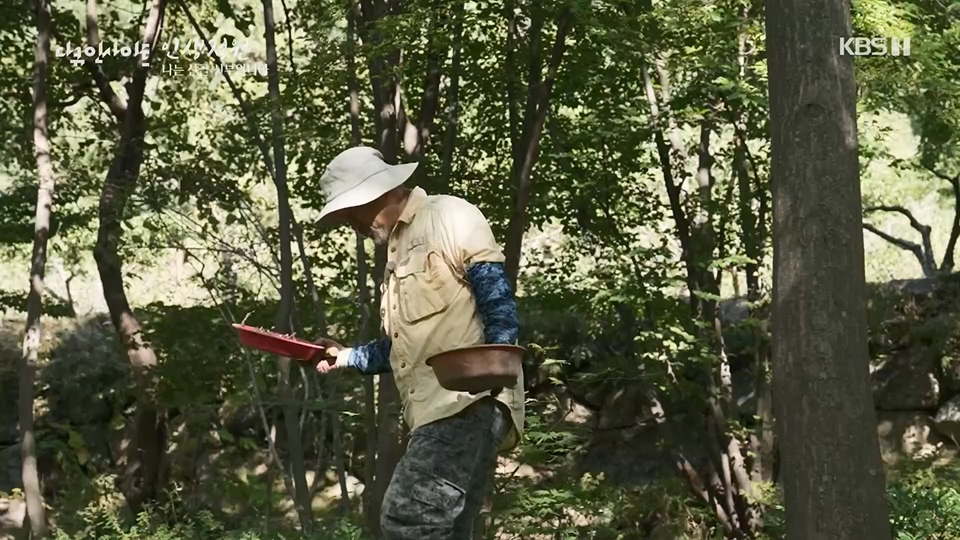 다큐 인사이트.E153.230608p.H264-F1RST.mp4_20230612_204531.206.jpg