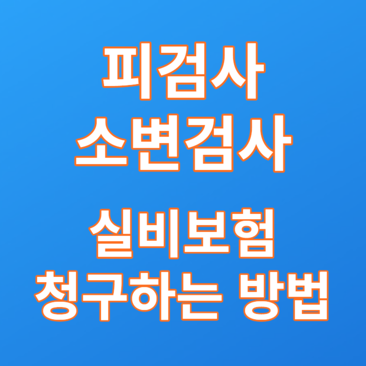  피검사 소변 검사 비용 실비보험 청구 방법