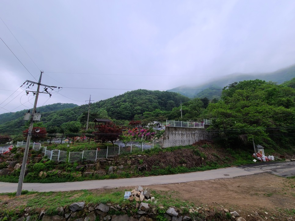 제이몬 펜션에 다녀왔습니다 경기도 가평 애견펜션, 19