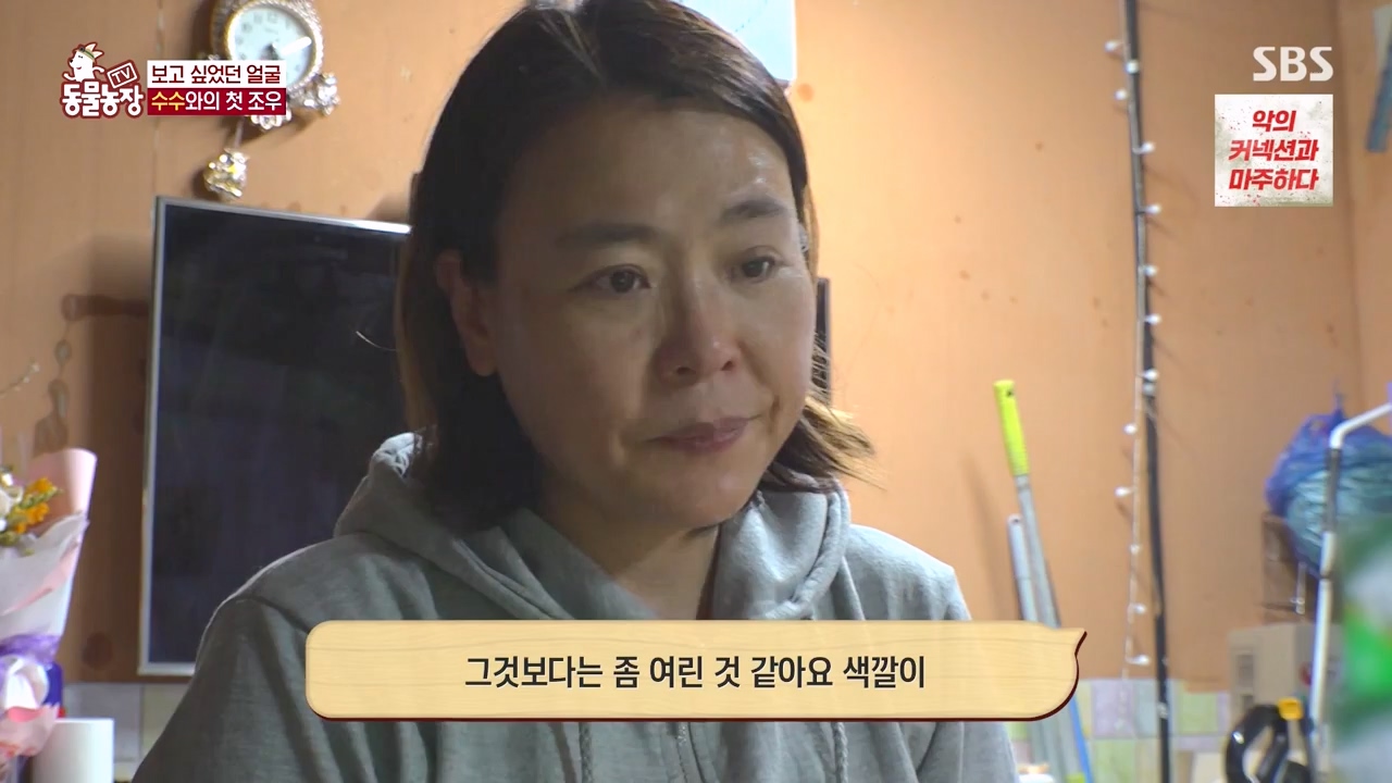 TV 동물농장.E1173.240527p-NEXT.mp4_20240526_155717.269.jpg