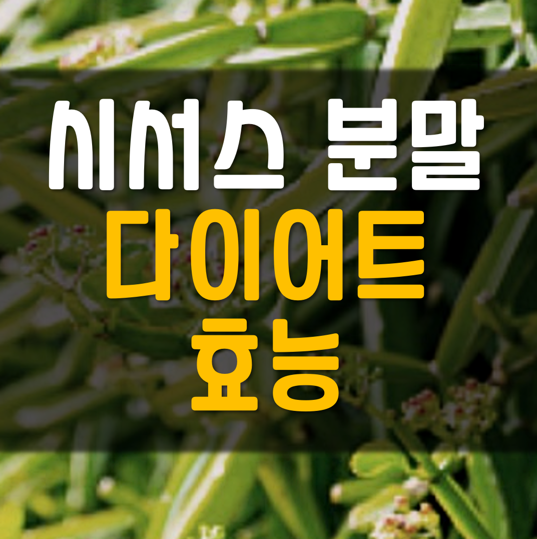  시서스 분말 다이어트 효능!