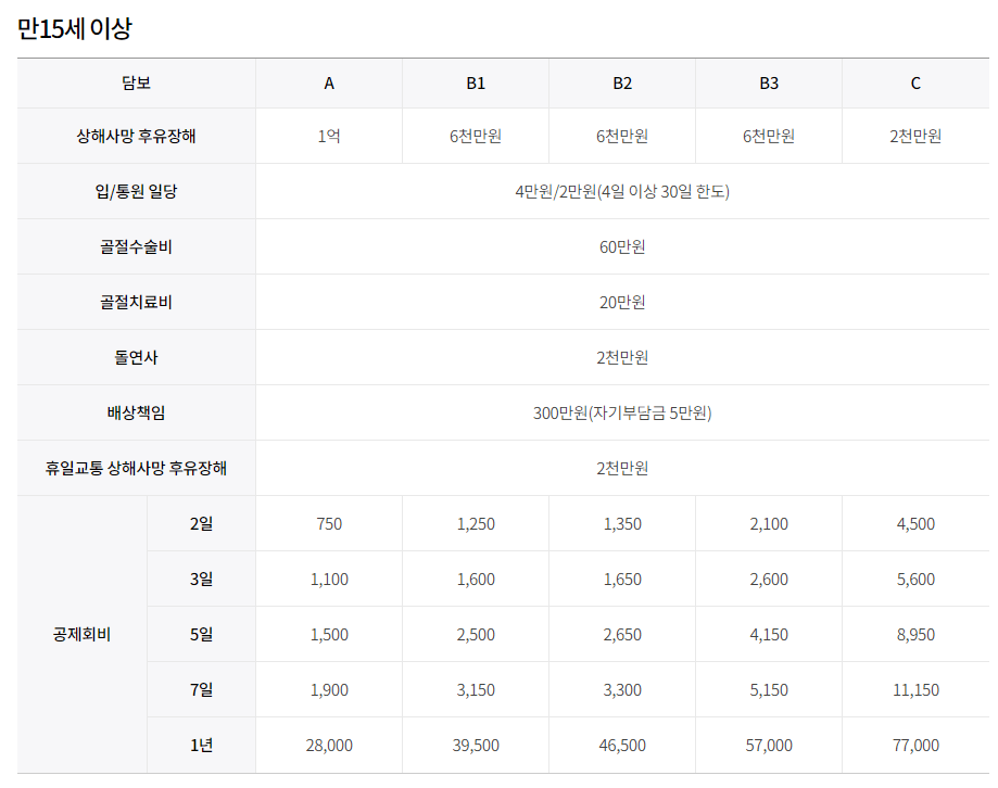 스포츠보험 고급형 15세이상