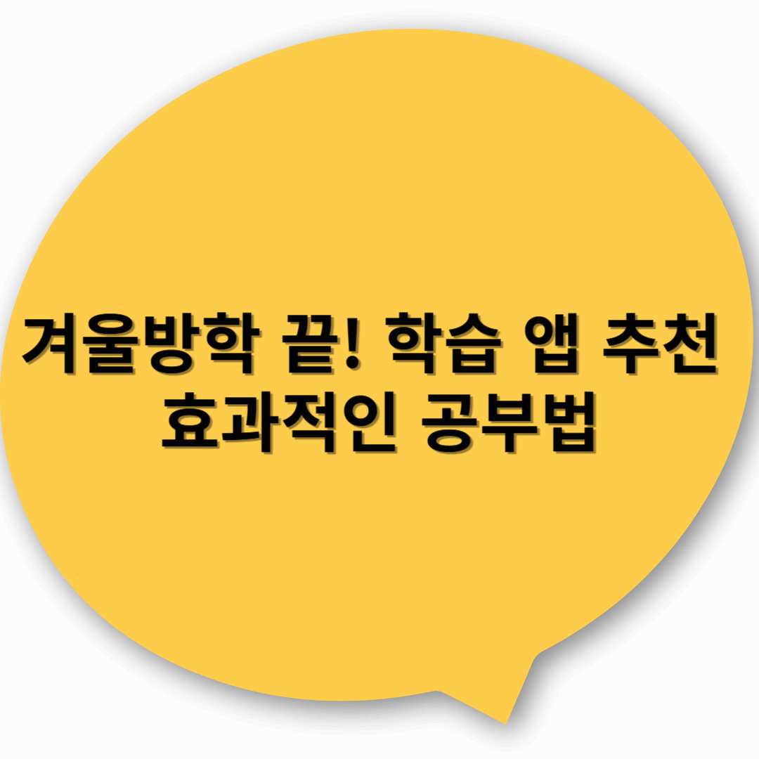 겨울방학 끝! 학습 앱 추천 &amp; 효과적인 공부법