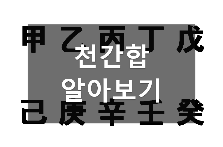  사주팔자 천간합 알아보기