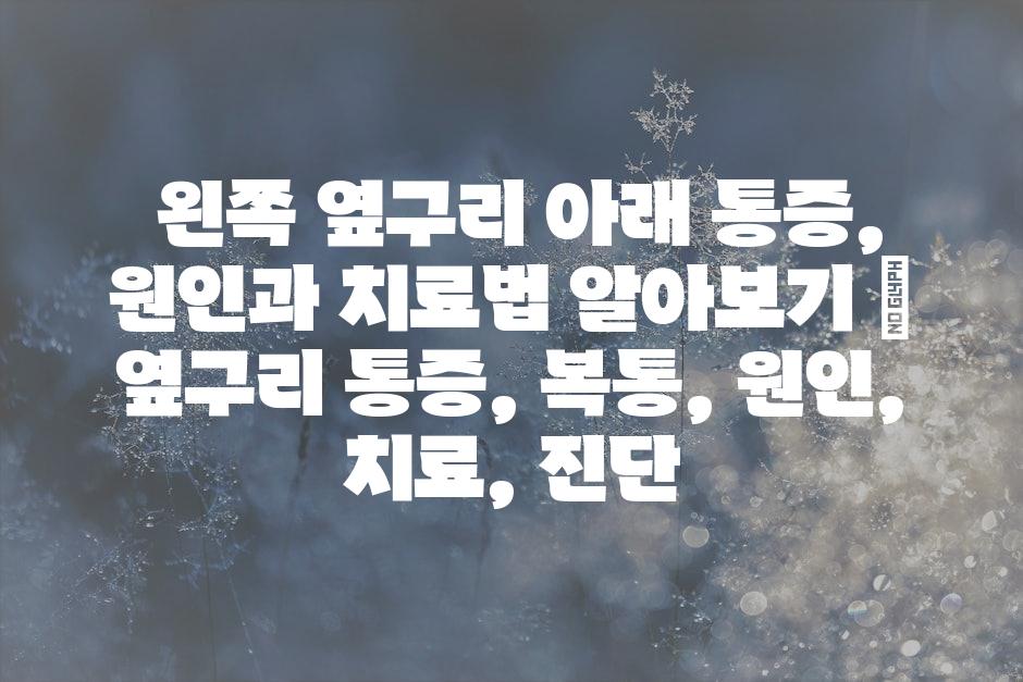 샘플 (47)