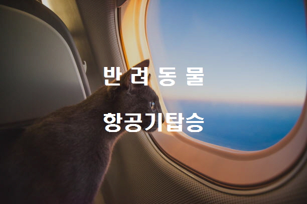  노다지네 잡학다식