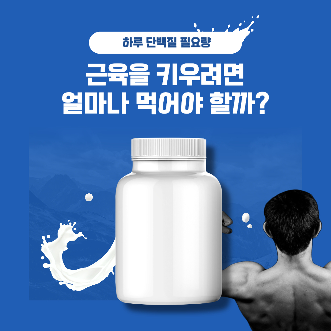 하루 단백질 필요량과 근육 형성의 관계: 근육을 키우려면 얼마나 먹어야 할까?