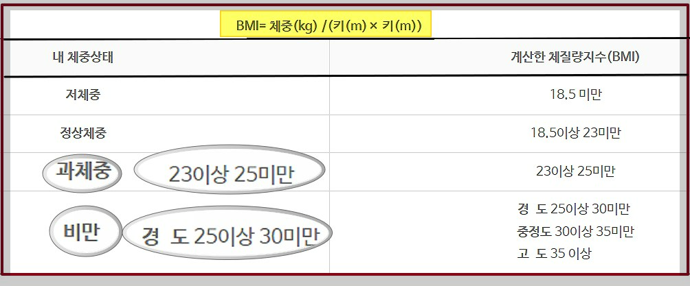 BMI-지수표