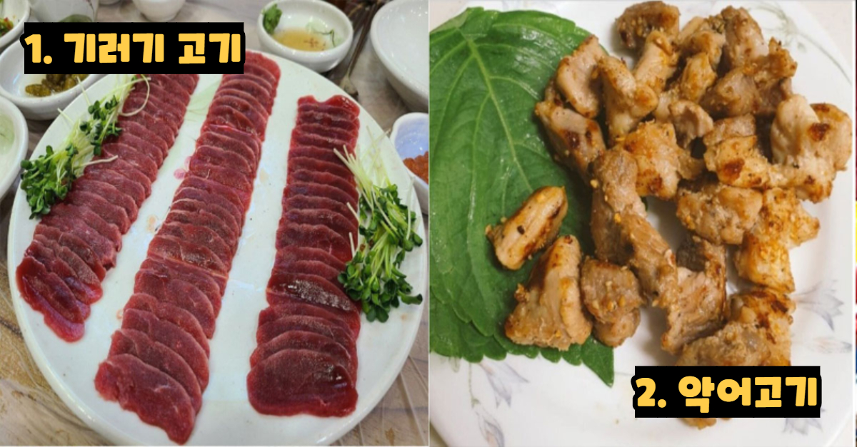  우리나라에서도 먹을 수 있는 이색 고기들