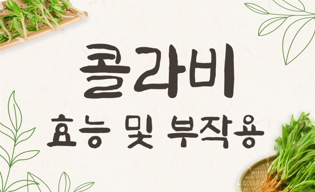 콜라비 효능과 부작용, 칼로리 완벽 정리! 건강하게 먹는 법까지 알아보자