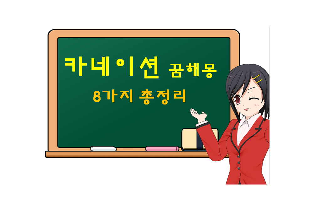  카네이션 꿈해몽 8가지 총정리