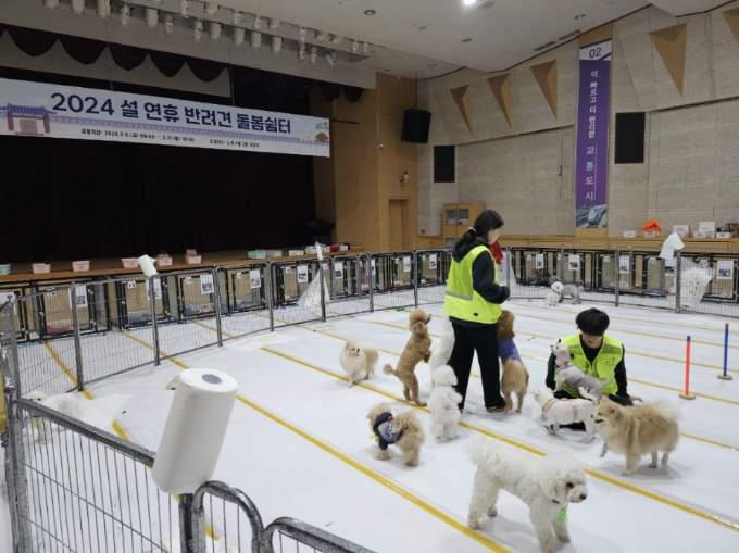 노원구 설 연휴 &amp;#39;반려견 돌봄쉼터&amp;#39; 소개! [운영 기간 장소 시간 관리 신청 방법 가격 비용] 
