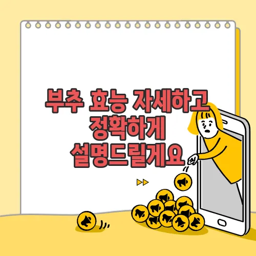 부추 효능 자세하고 정확하게 설명드릴게요