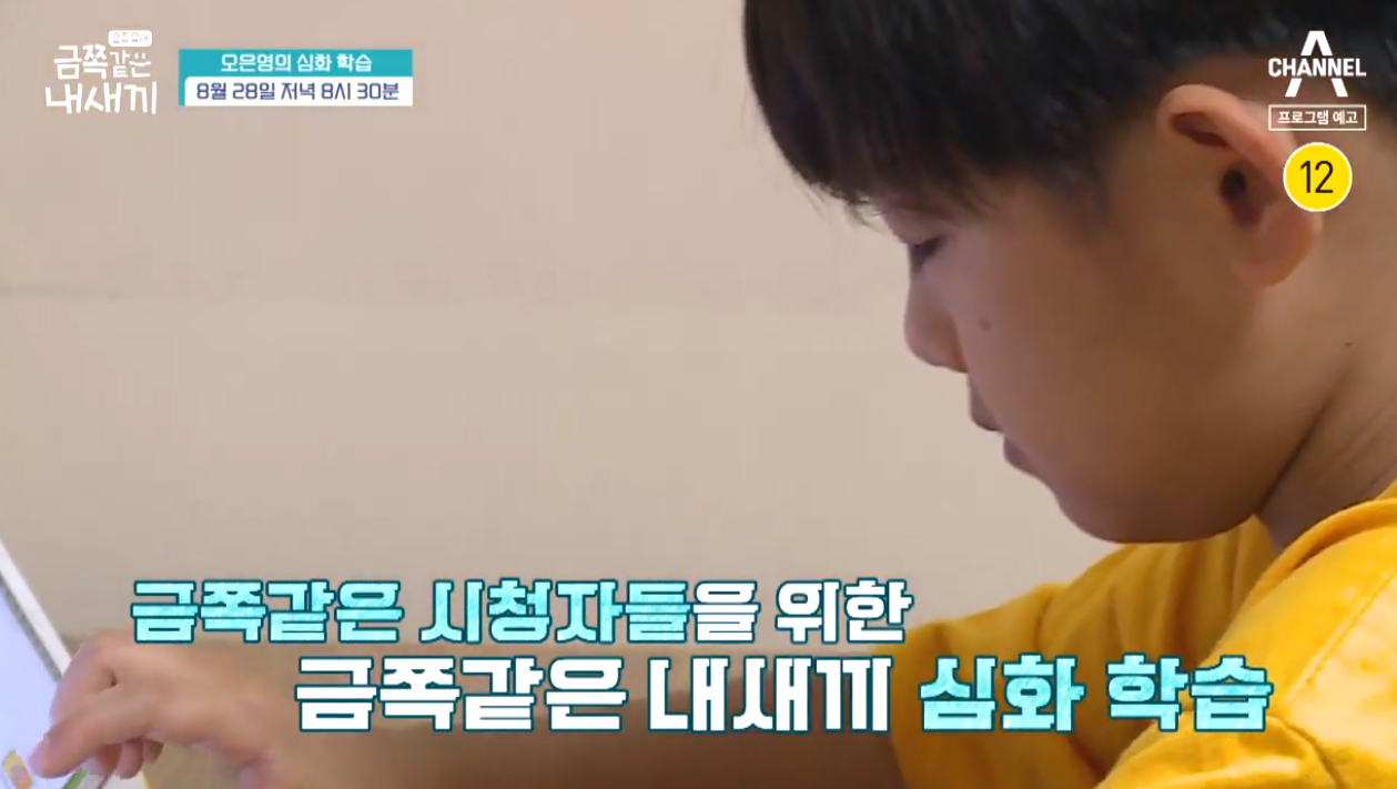  금쪽같은 내새끼 13회 오은영 육아 스페셜