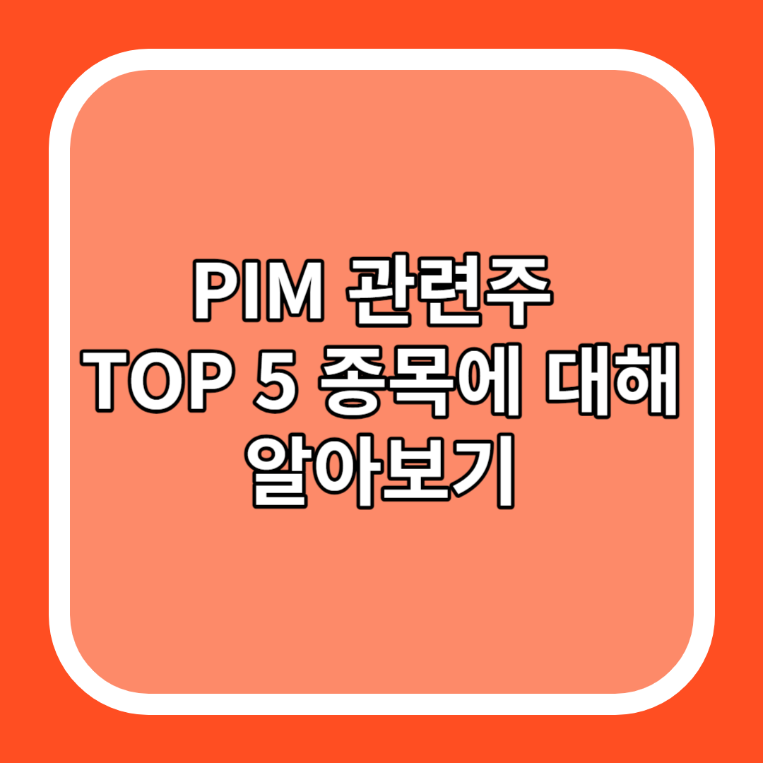 PIM 관련주 TOP 5 종목에 대해 알아보기