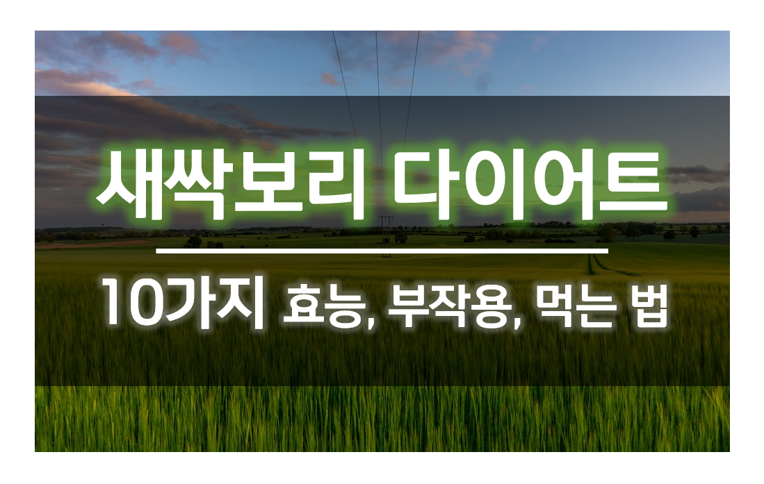  새싹보리 다이어트 효능 10가지 부작용 복용법(먹는법)