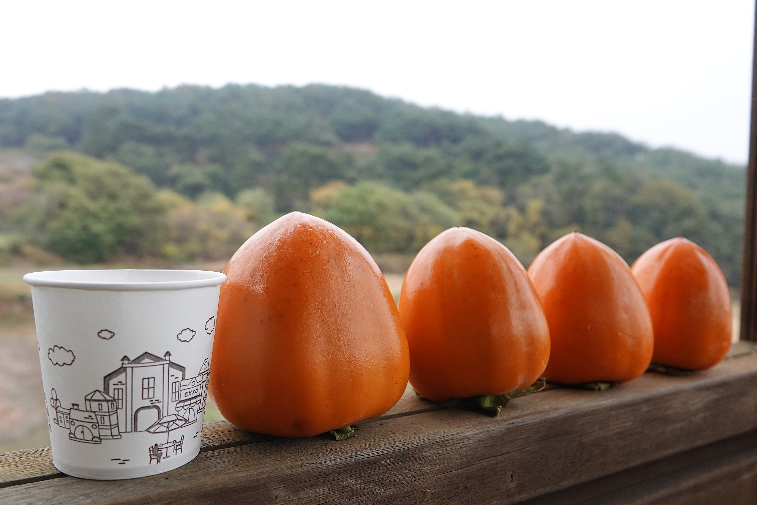  산청 숲사랑농원의 지리산 산청 단감, 지리산 산청 대봉감