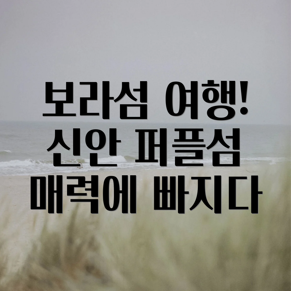 신안 퍼플섬